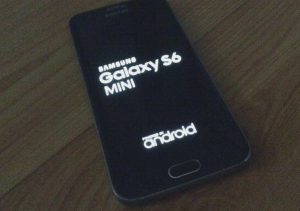 Samsung S6 mini