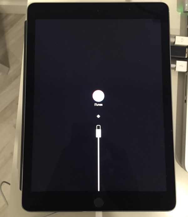 iPad Pro 9.7 